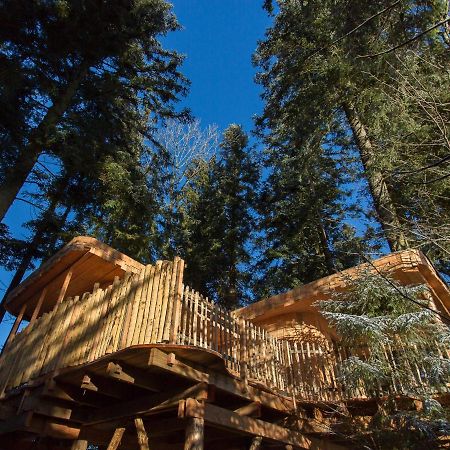 Domaine De L'Authentique Cabanes Dans Les Arbres Fournet-Blancheroche Zewnętrze zdjęcie