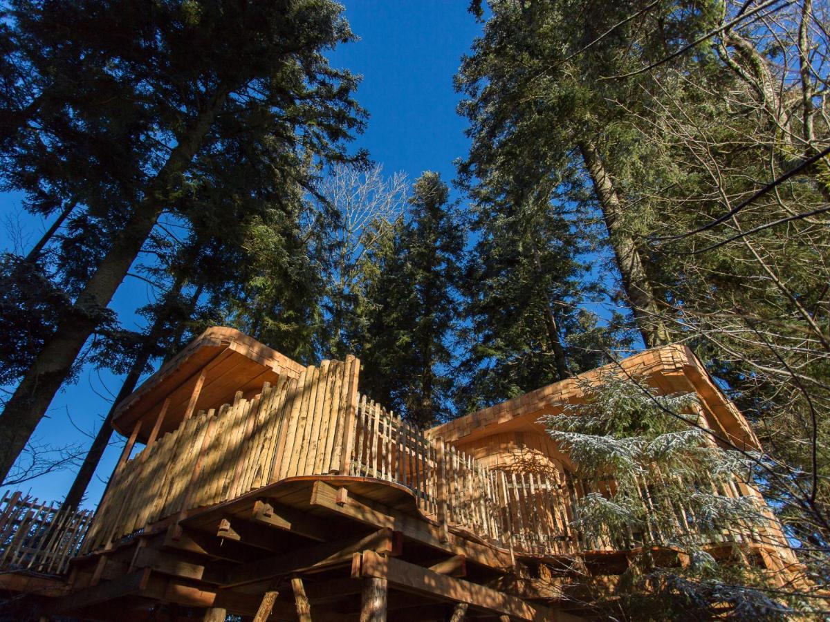 Domaine De L'Authentique Cabanes Dans Les Arbres Fournet-Blancheroche Zewnętrze zdjęcie