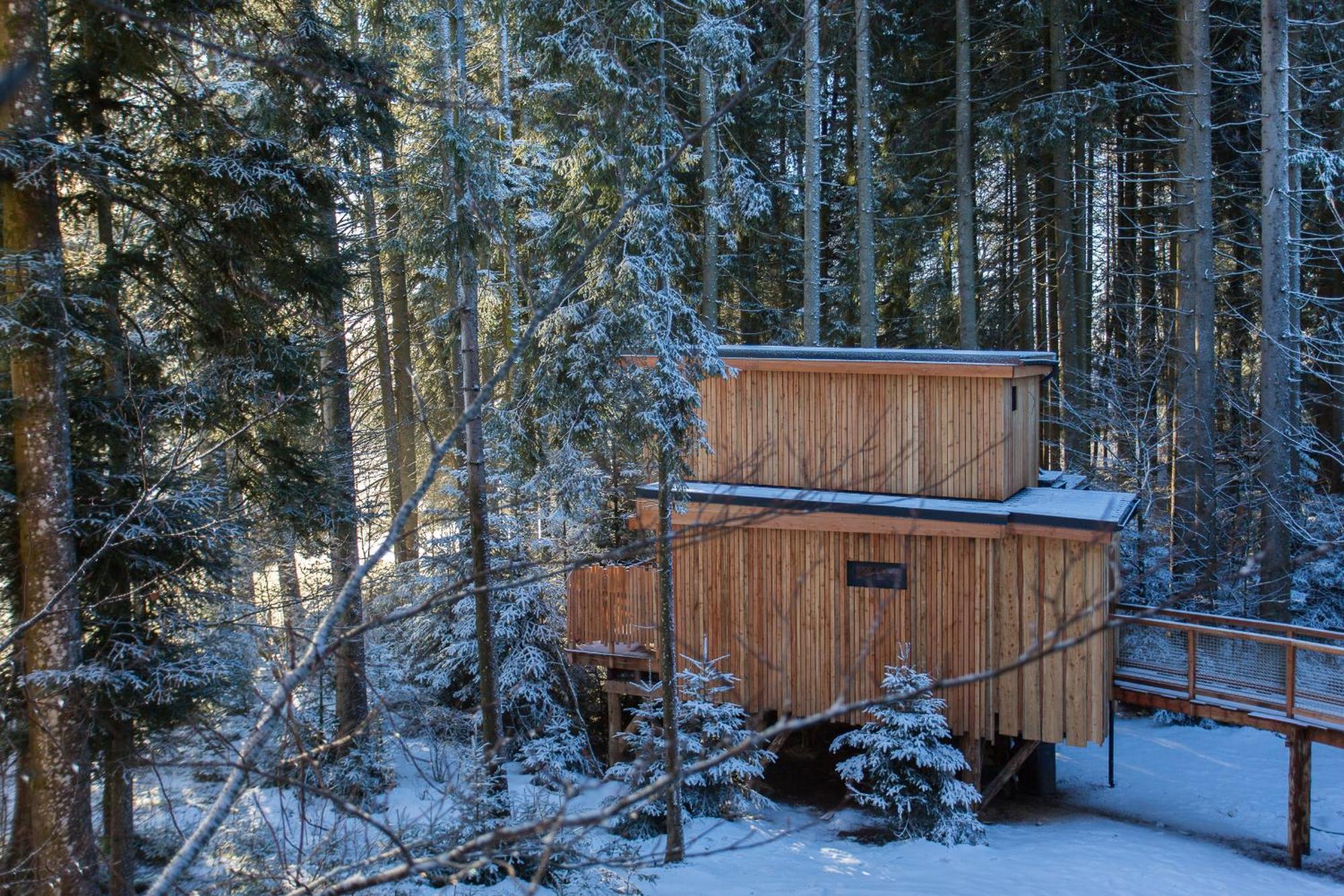 Domaine De L'Authentique Cabanes Dans Les Arbres Fournet-Blancheroche Pokój zdjęcie
