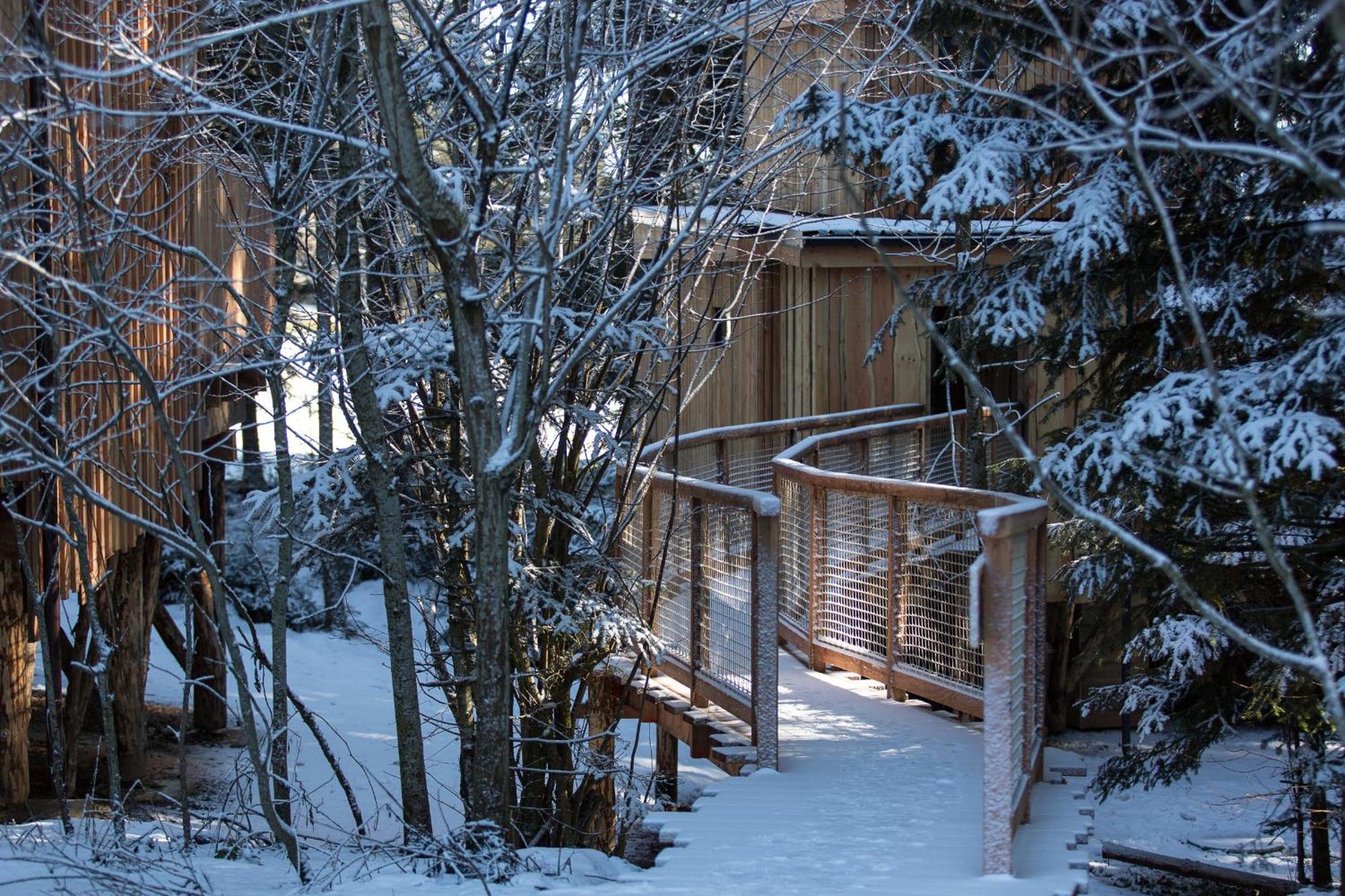 Domaine De L'Authentique Cabanes Dans Les Arbres Fournet-Blancheroche Pokój zdjęcie